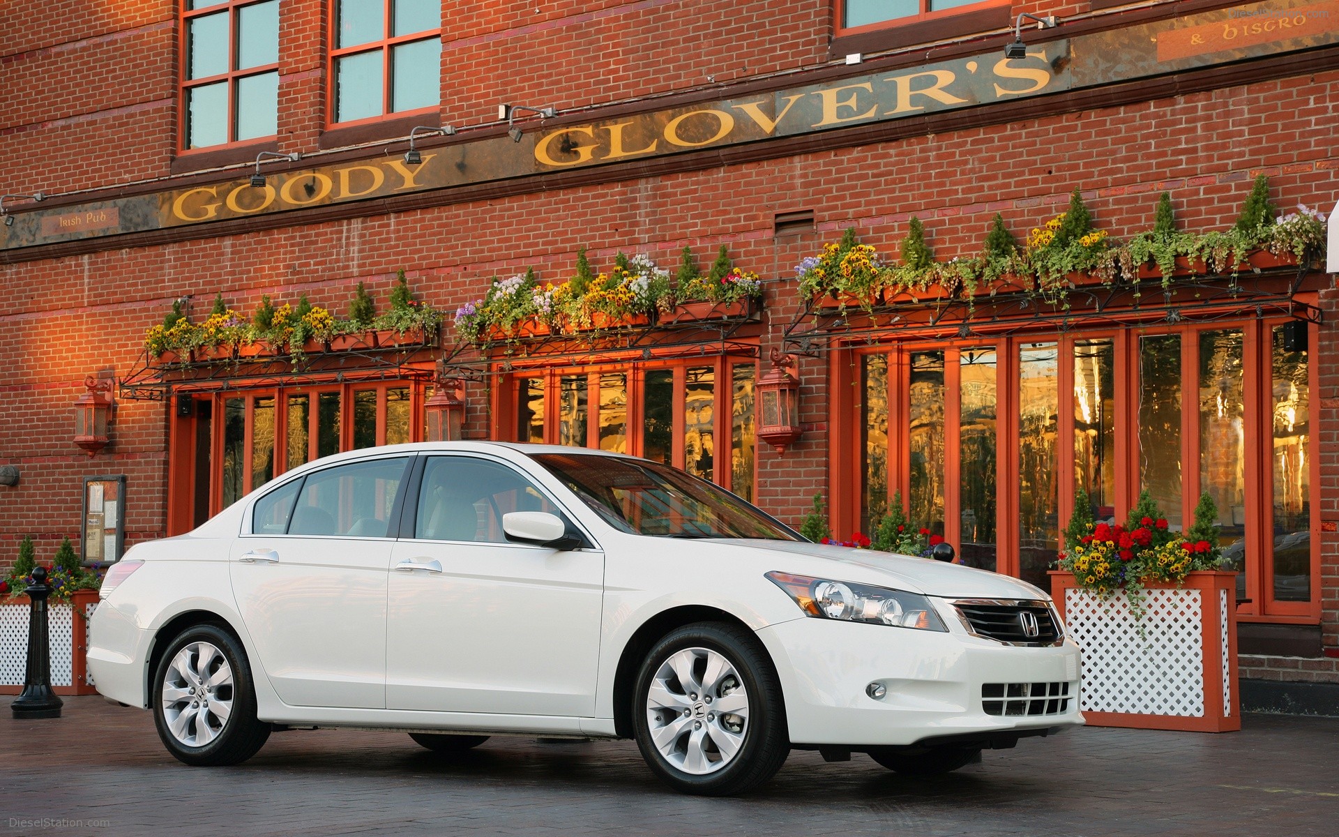 2008 Honda Accord Coupe & Sedan